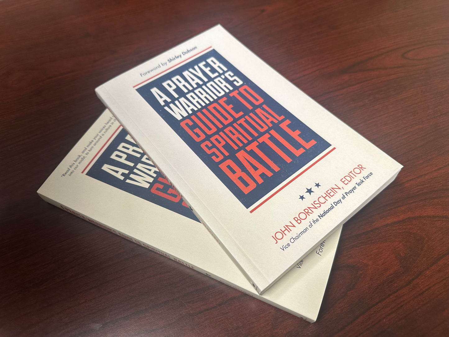 A Prayer Warrior's Guide to Spiritual Battle